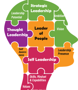 PJ_Leadership_Puzzle3